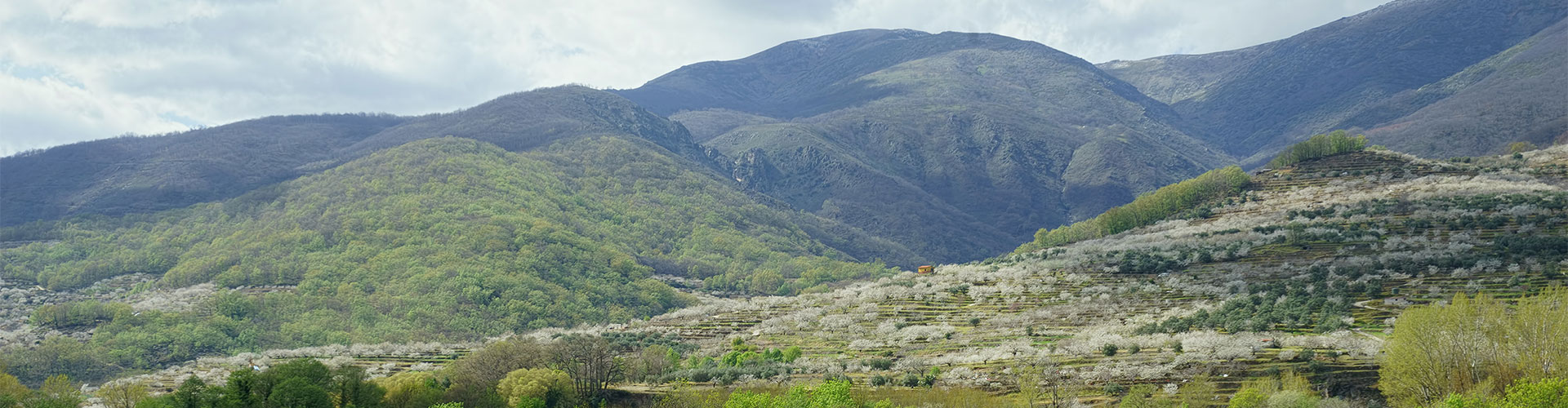 Política de protección de datos - Plano general montaña en día soleado